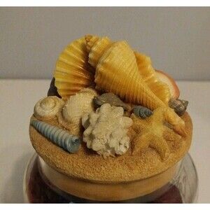 Our America By Yankee Candle Topper Beachy Sea Shells Nautical Star Fish EUC